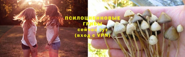тгк Балахна
