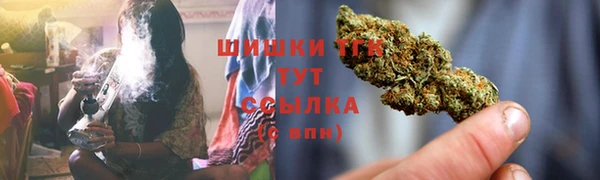 стаф Белокуриха