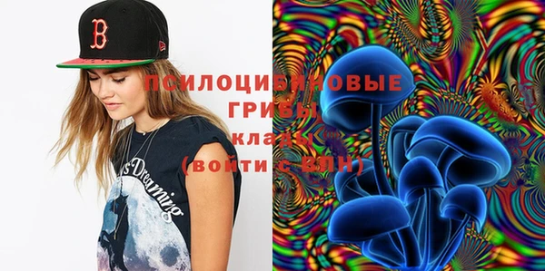 бошки Беломорск