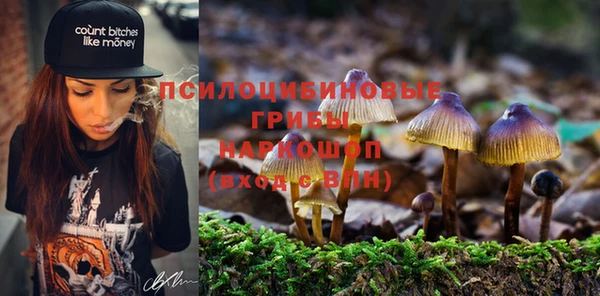 стаф Белокуриха