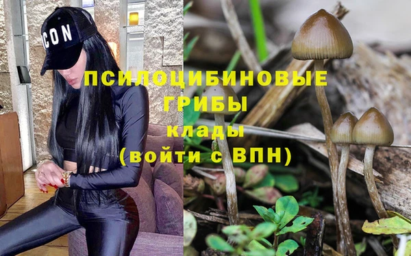 тгк Балахна