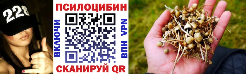 где можно купить наркотик  Губкинский  Галлюциногенные грибы Psilocybe 
